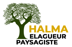 elagueur paysagiste
